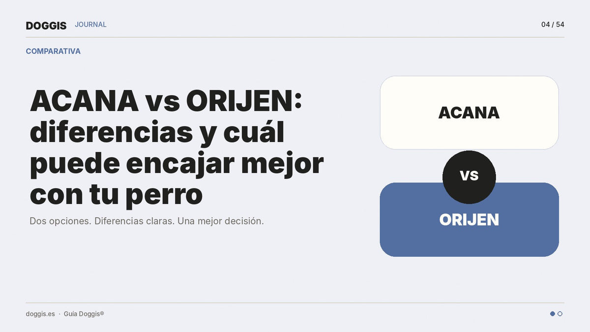 ACANA vs ORIJEN: diferencias y cuál puede encajar mejor con tu perro - Guía Doggis