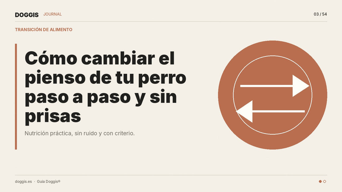 Cómo cambiar el pienso de tu perro paso a paso y sin prisas - Guía Doggis