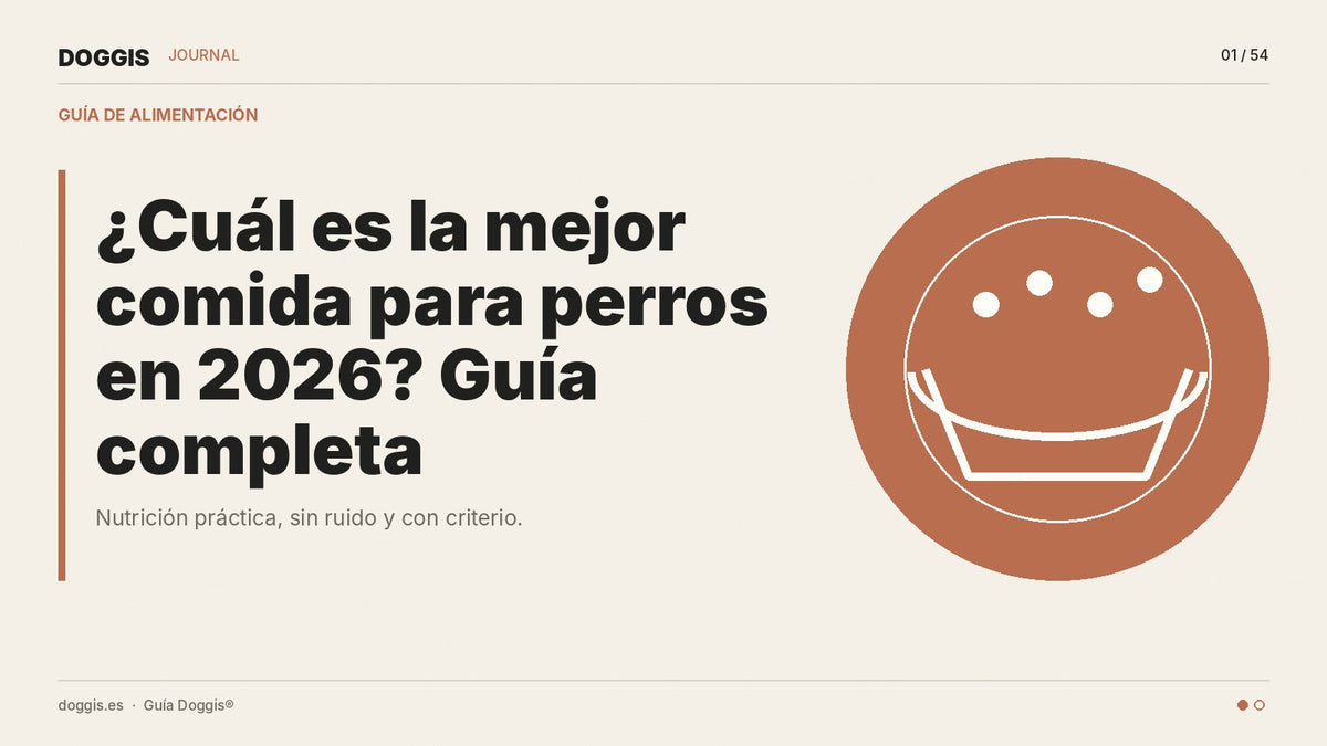 ¿Cuál es la mejor comida para perros en 2026? Guía completa - Guía Doggis