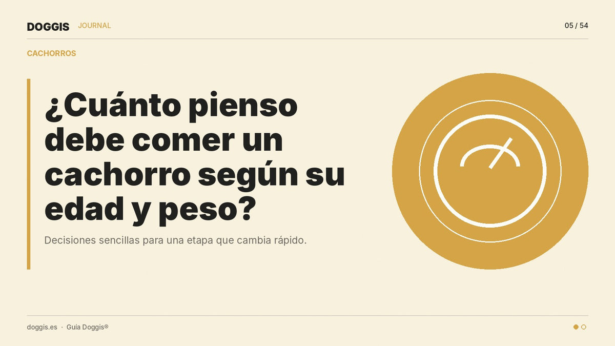 ¿Cuánto pienso debe comer un cachorro según su edad y peso? - Guía Doggis