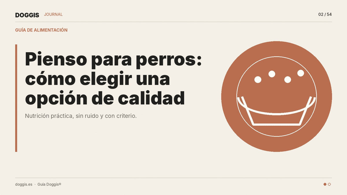 Pienso para perros: cómo elegir una opción de calidad - Guía Doggis