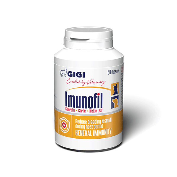 GIGI Supl. Imunofil 60 Cap.